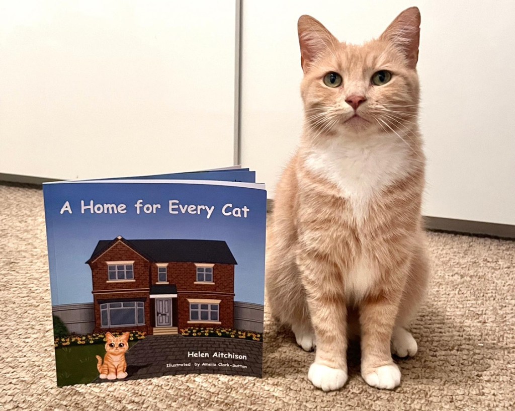 A Home for Every&nbsp;Cat